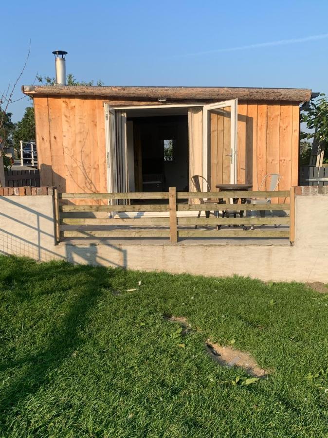 Molehill Lodge 斯旺西 外观 照片
