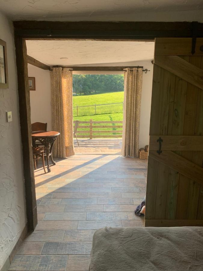Molehill Lodge 斯旺西 外观 照片