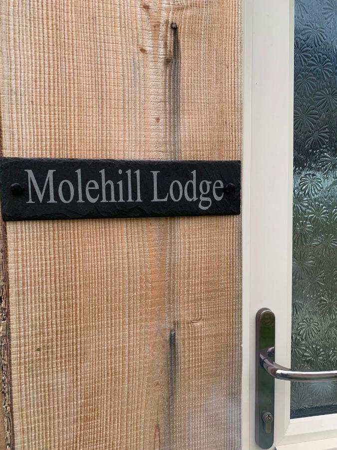 Molehill Lodge 斯旺西 外观 照片