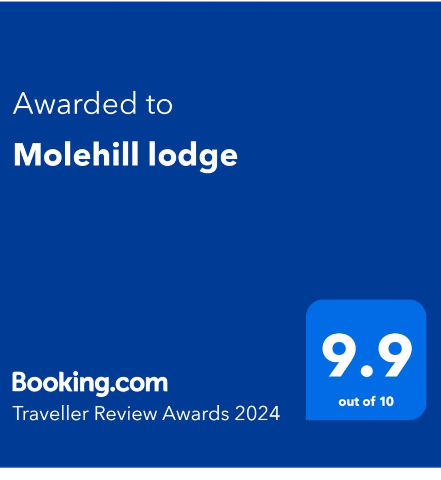 Molehill Lodge 斯旺西 外观 照片