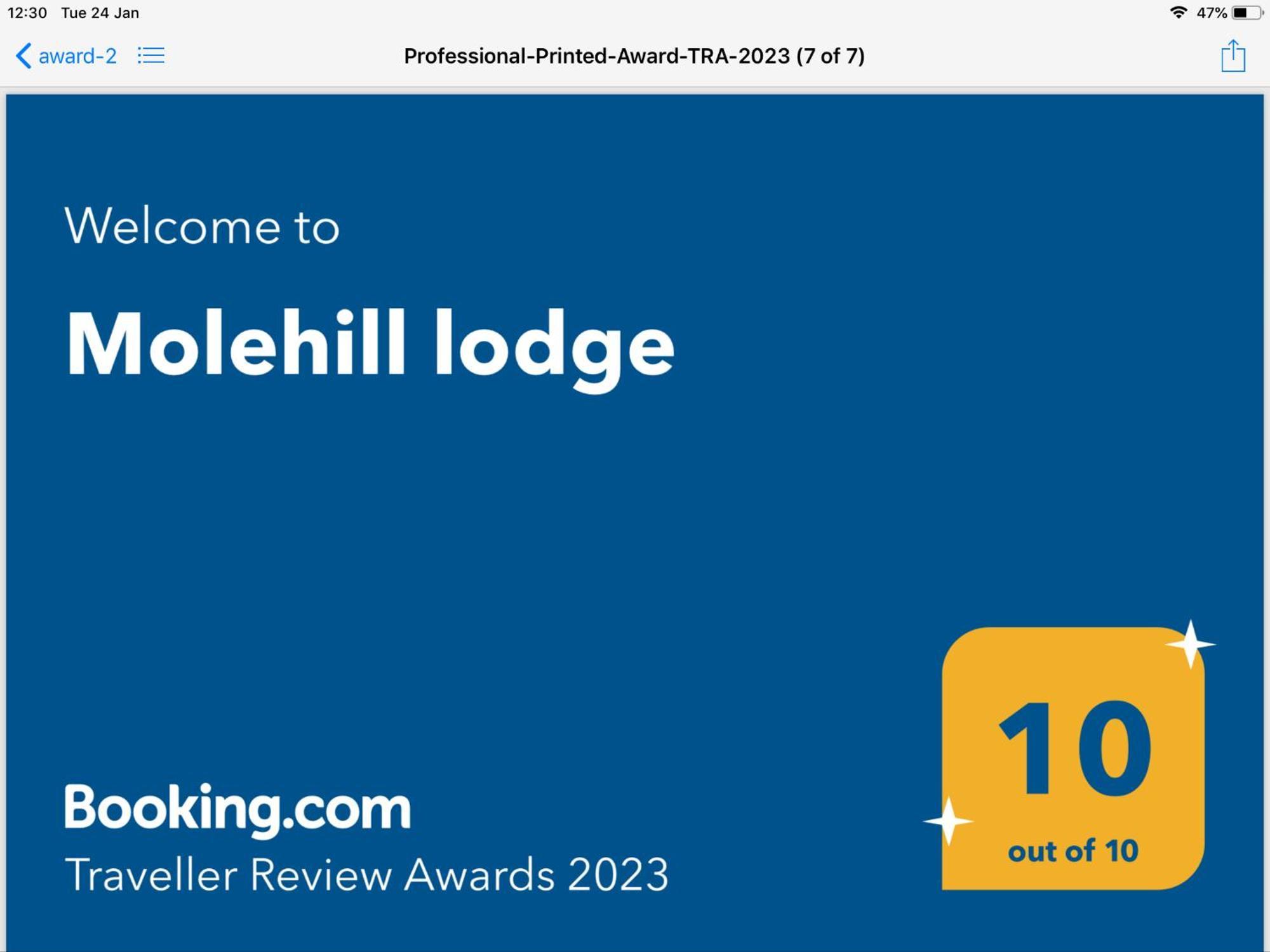 Molehill Lodge 斯旺西 外观 照片